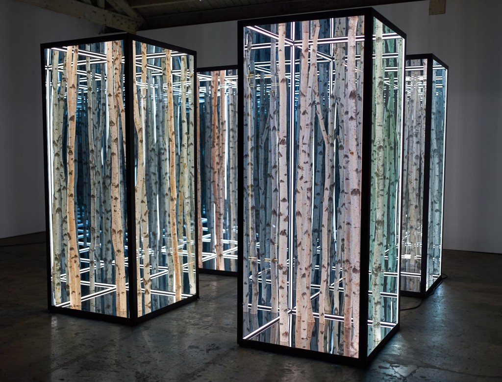 Freestanding Birch by Anthony James | Melissa Morgan Fine Art, image size:1024x779