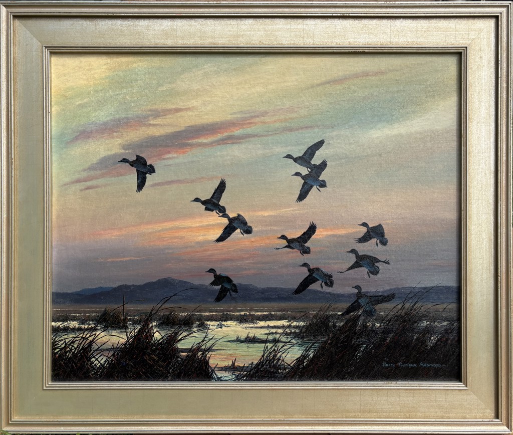 Evening in the Great Basin - Wigeon by Harry C. Adamson