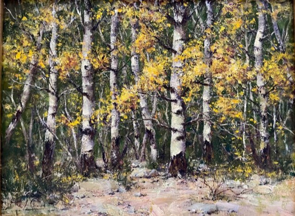 New Mexico Aspen by Robert Johnson