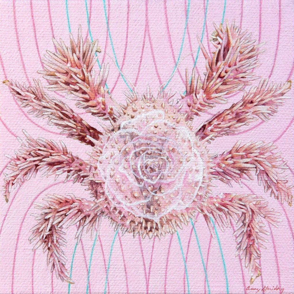 Amalgam by Amy Guidry