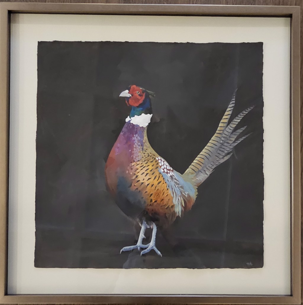 Ring-necked Pheasant by Noelle Holler