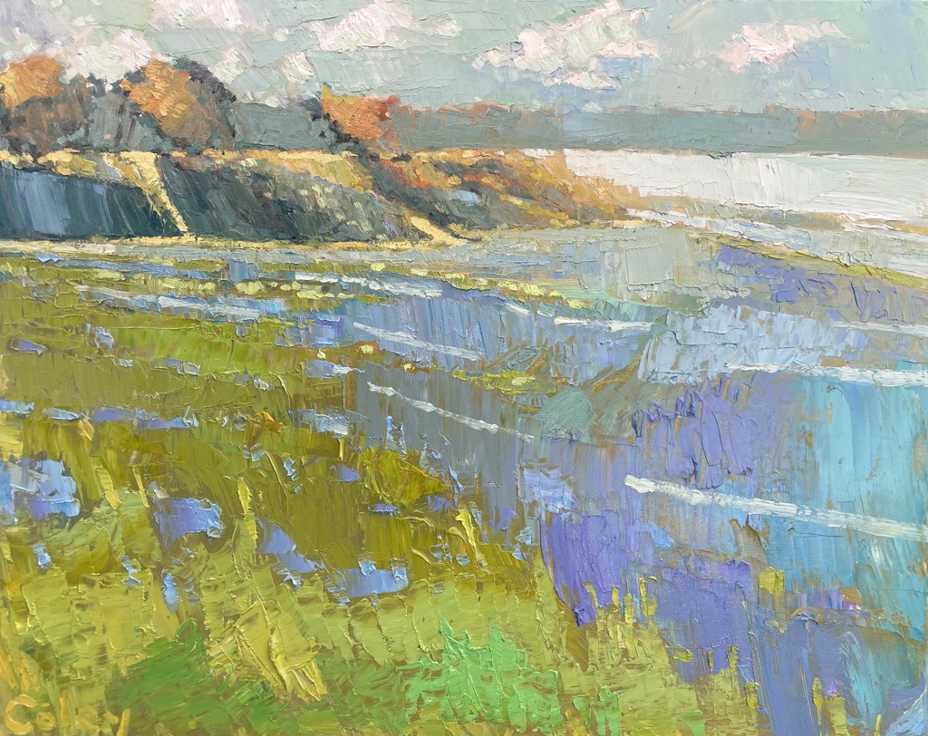 Shadows on the Edge of the Bluff #7 by Nicholas Coley | Anne Irwin Fine Art