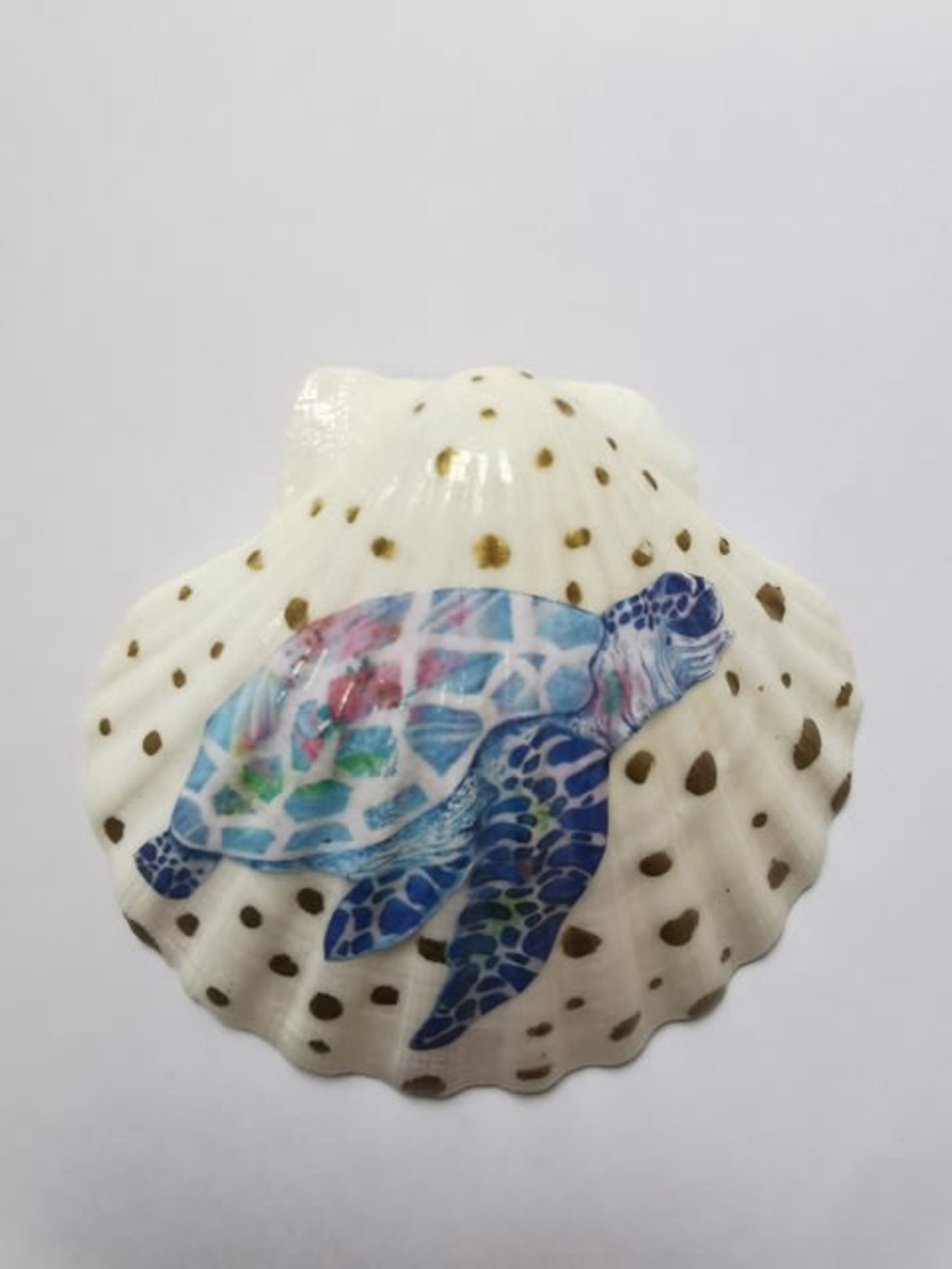 The House of Venus – Turtle Pois by Giulia Ronchetti