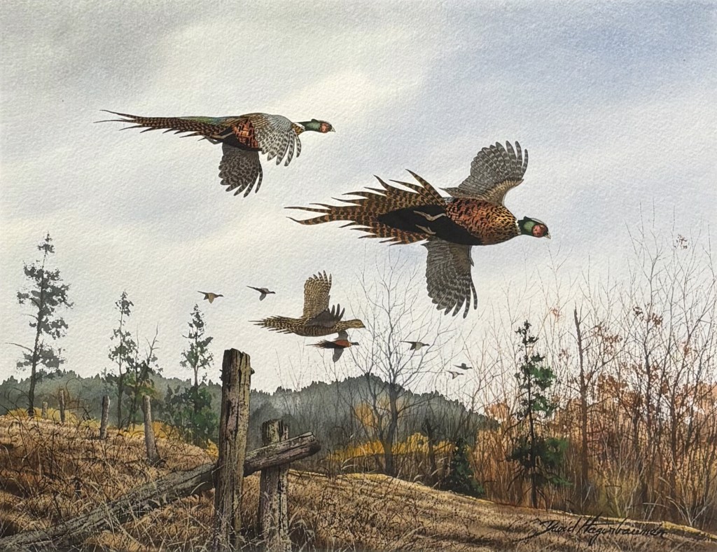 Driven Pheasants by David Hagerbaumer