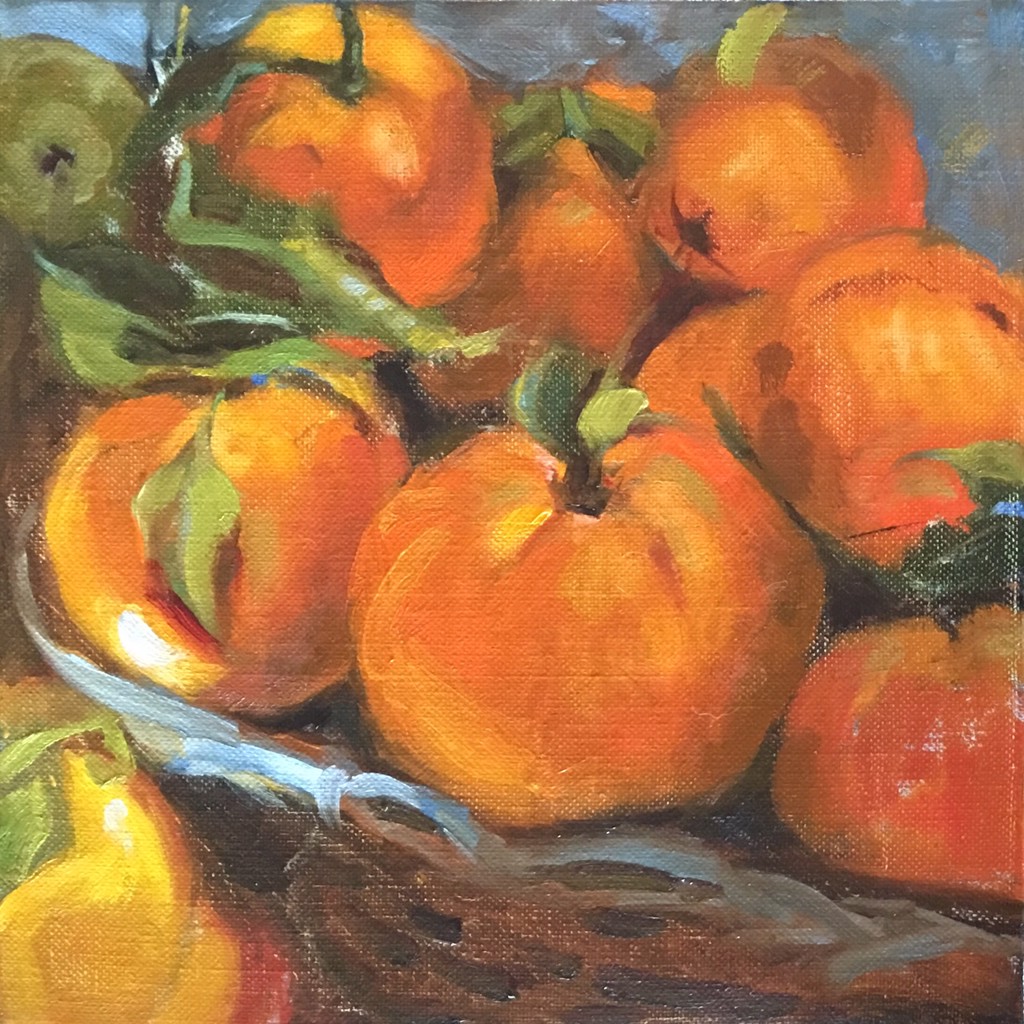 Apples to Oranges by Laurie Meyer