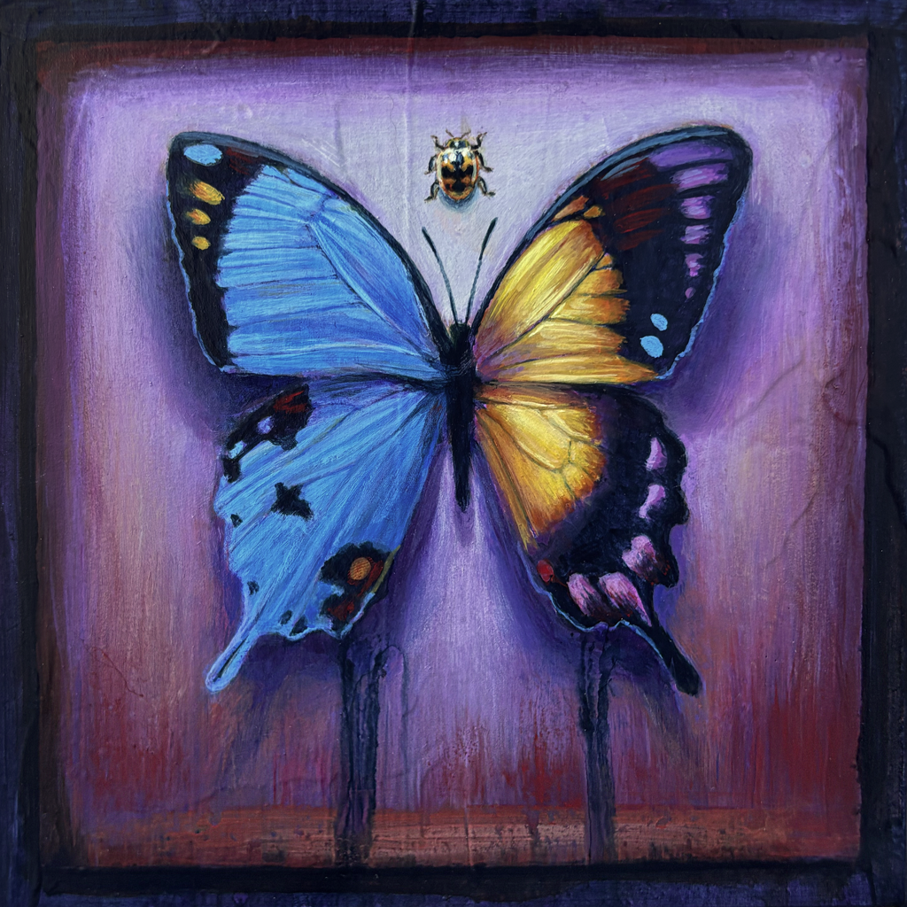Hybrid Butterfly 55 by Stacy D'Aguiar | Abend Gallery