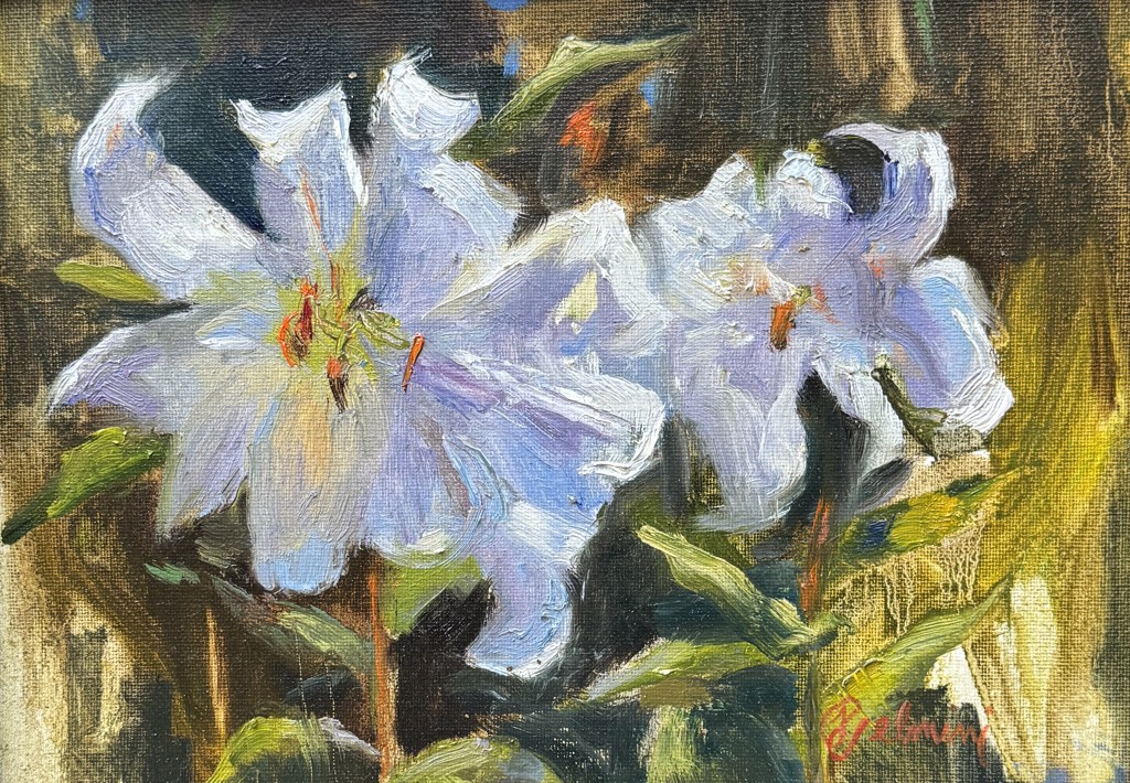 Casa Blanchard by Peggy Jelmini