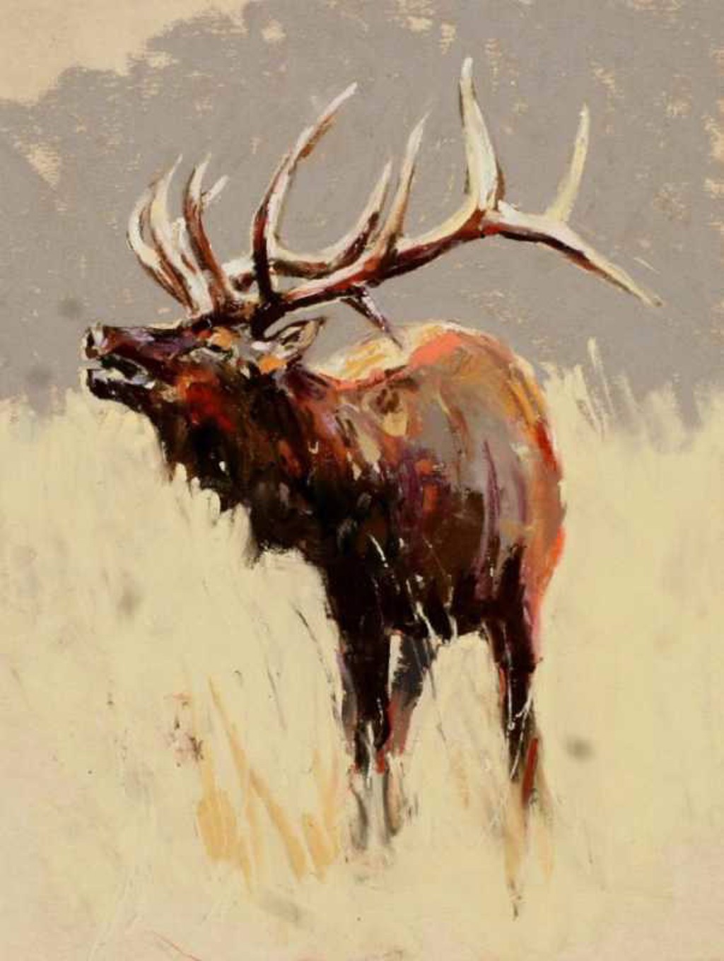 Morning Sun by Clive R. Tyler | InSight Gallery