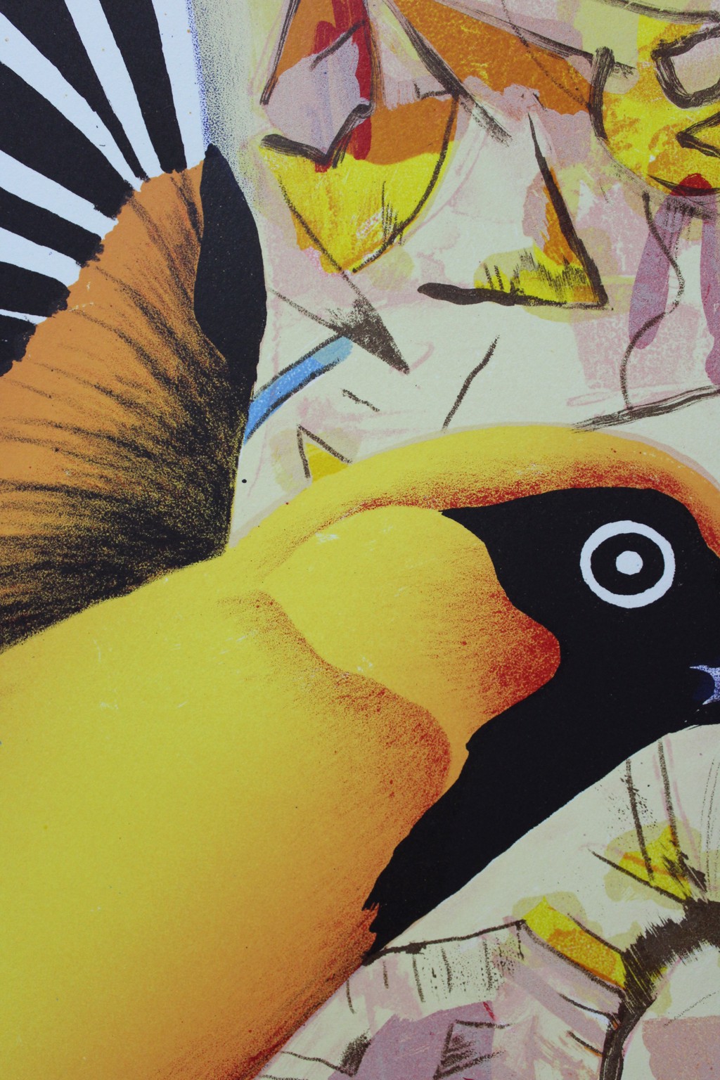 Oriole by Billy Hassell