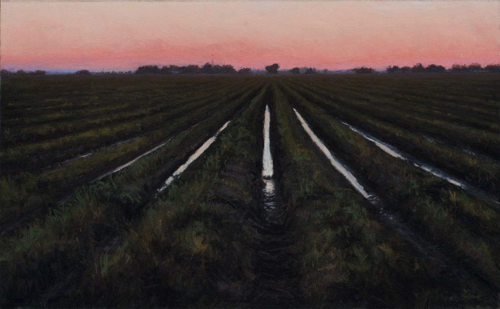 Fire in the Sky by Mary Monk