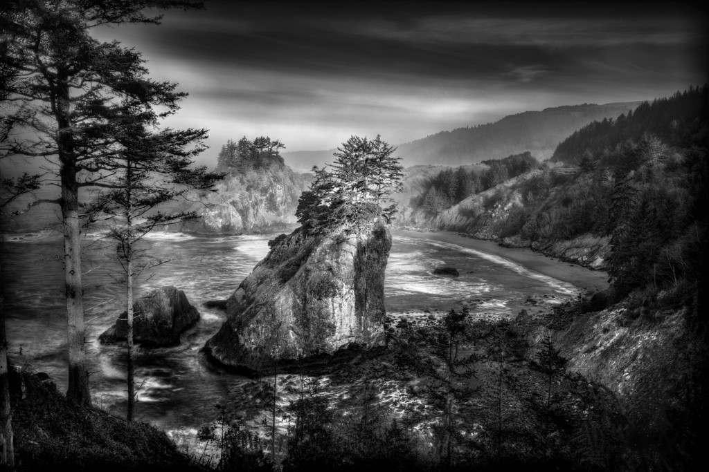 Oregon Coast Island Cove by Gary Wagner