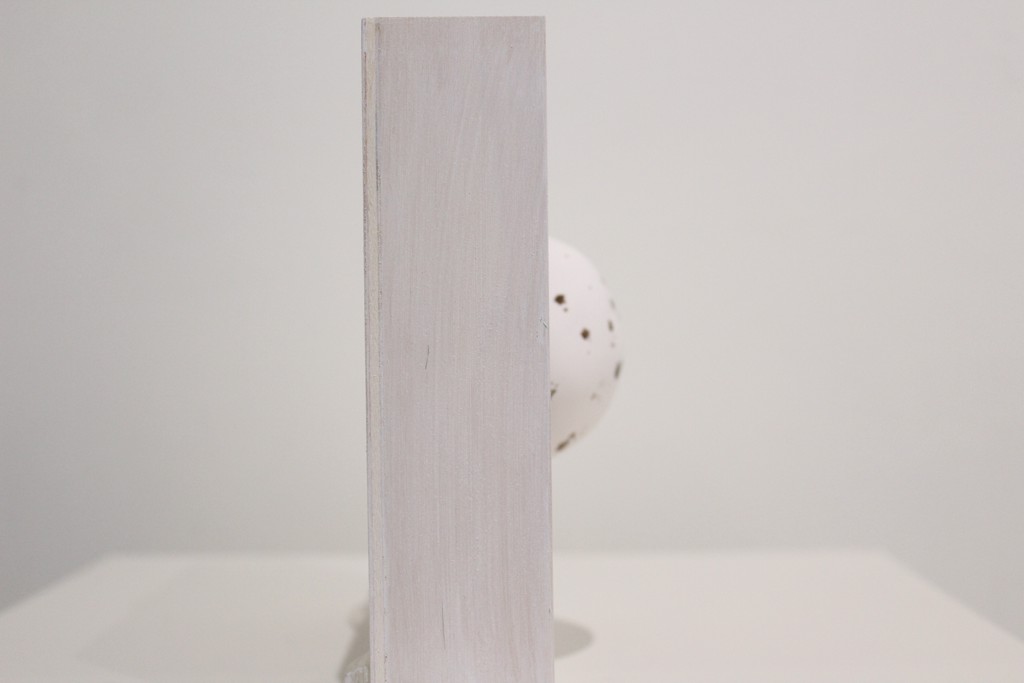 Egg - Medium by Eva Maier