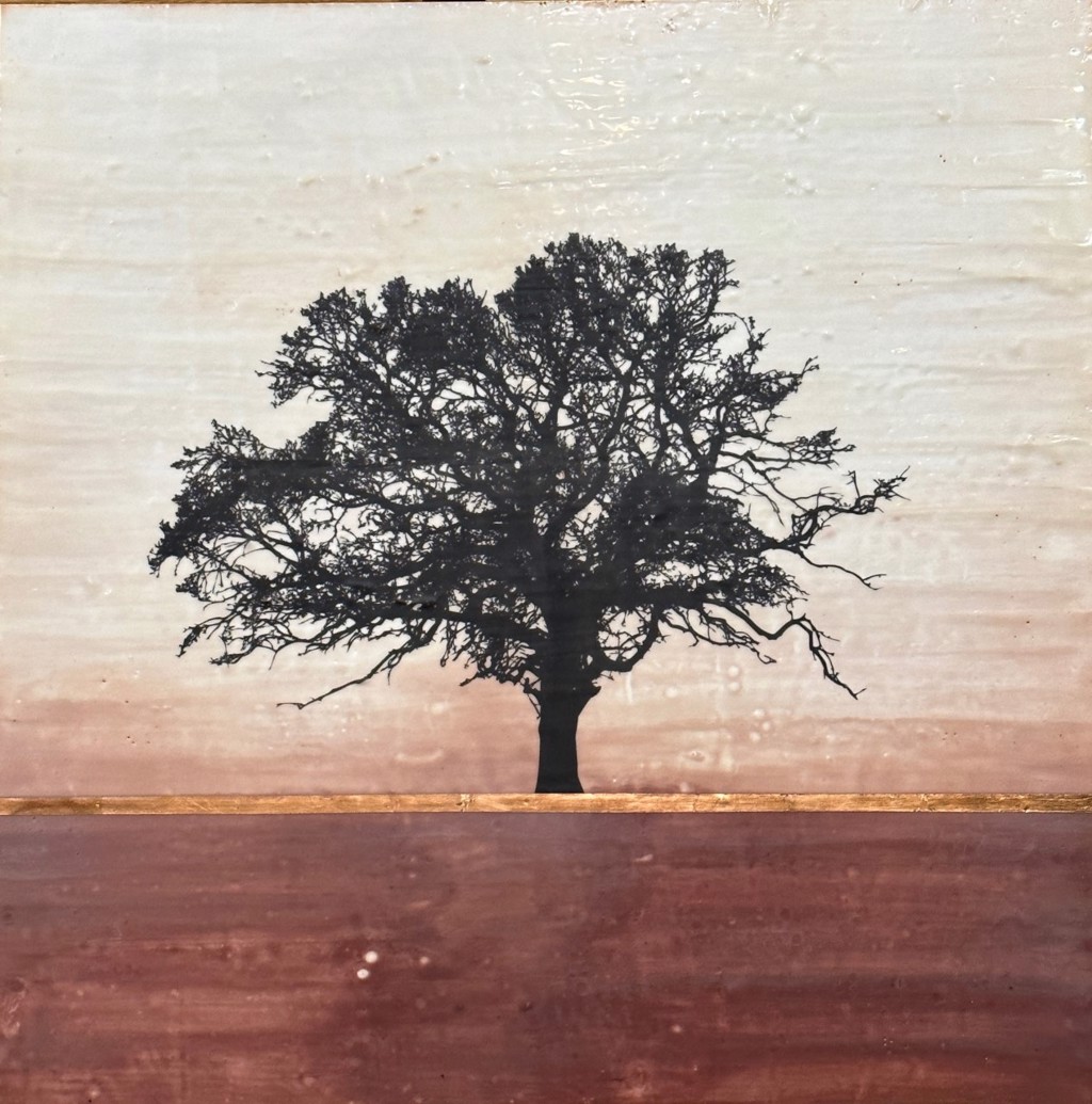 Terra Rossa Solitude by Shari Lyon