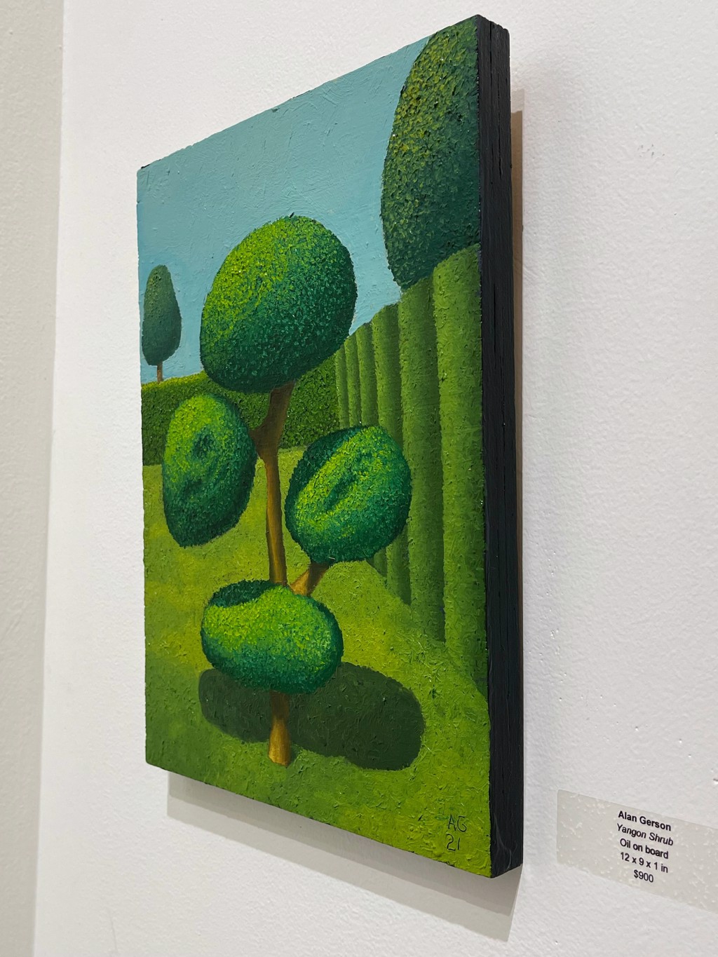 Yangon Shrub (M168) by Alan Gerson