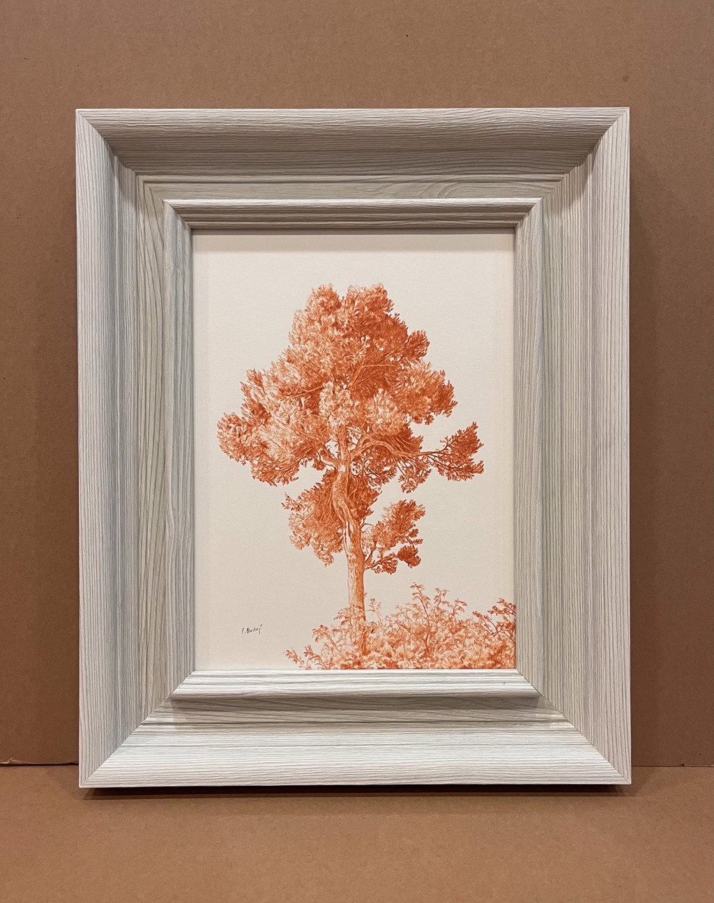 Arbol en Sanguina by Conchita Bardají