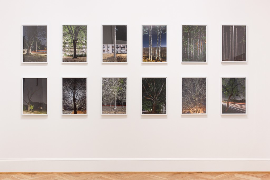 Tulip Poplars #1, Lilburn, GA by Peter Essick
