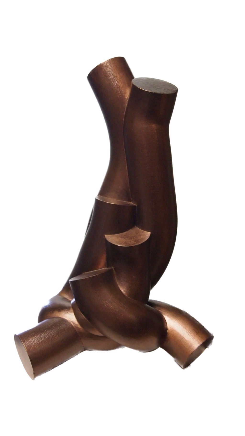 Twister II by Bruce Beasley