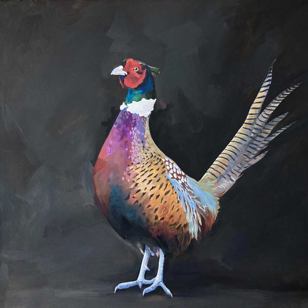 Ring-necked Pheasant by Noelle Holler