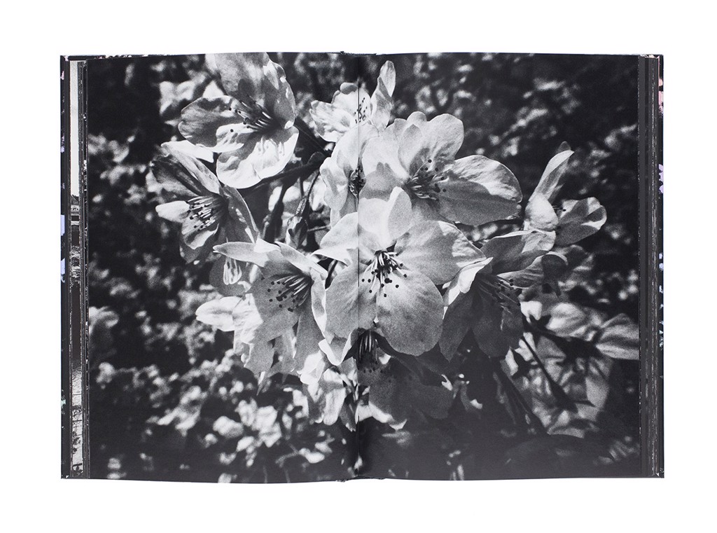 Ango by Daido Moriyama | Blue Raven Gallery