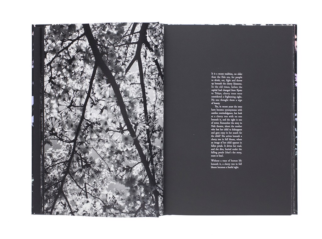 Ango by Daido Moriyama | Blue Raven Gallery