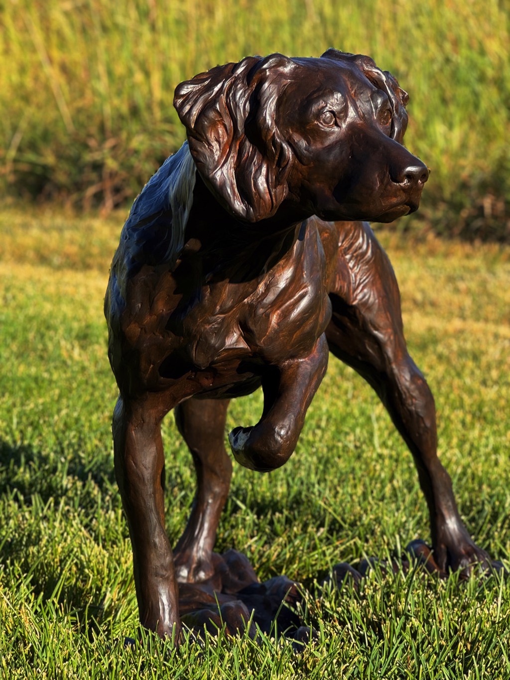 Brittany Spaniel, Life Size by Liz Lewis