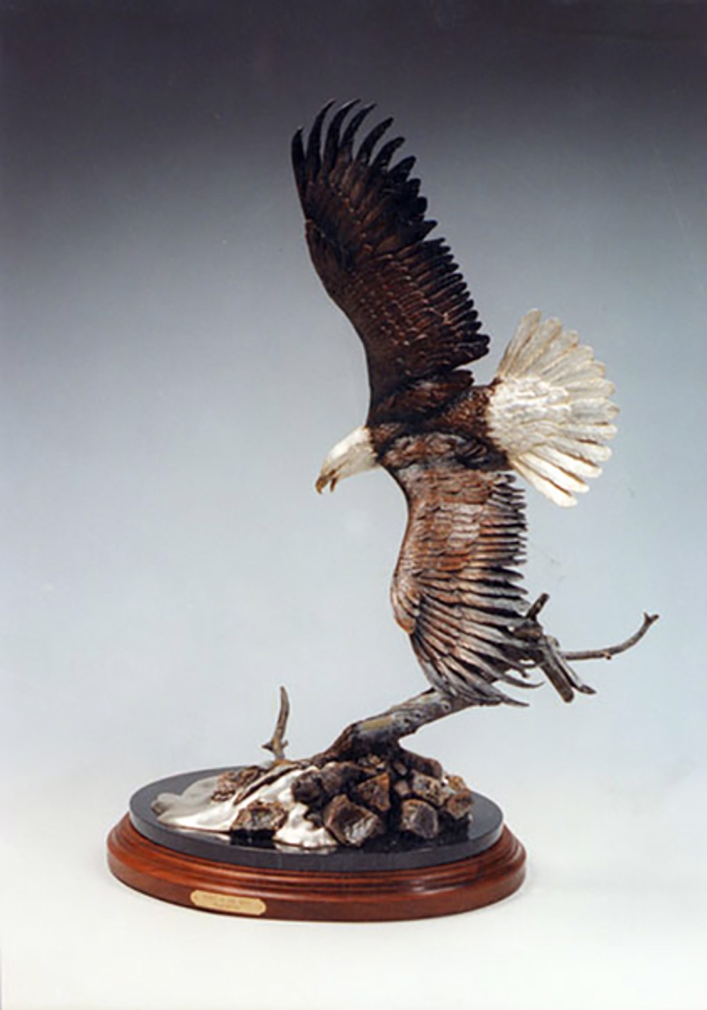 Spirit Of The Wind by Frank DiVita
