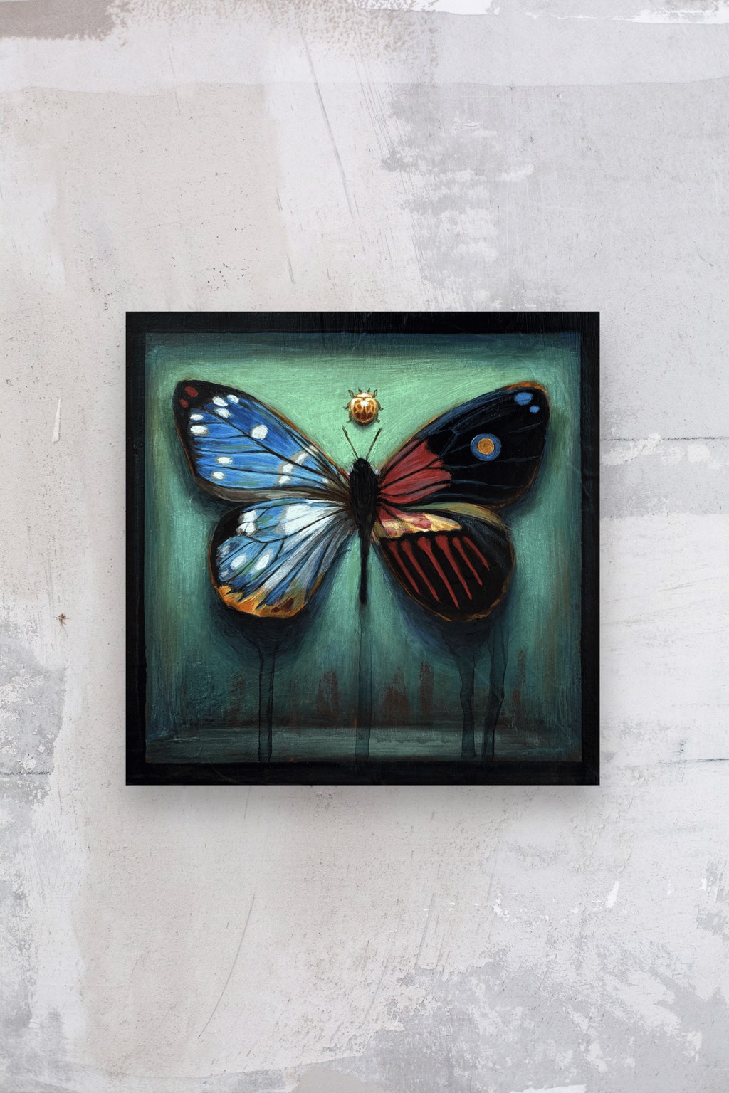 Hybrid Butterfly 44 by Stacy D'Aguiar | Abend Gallery