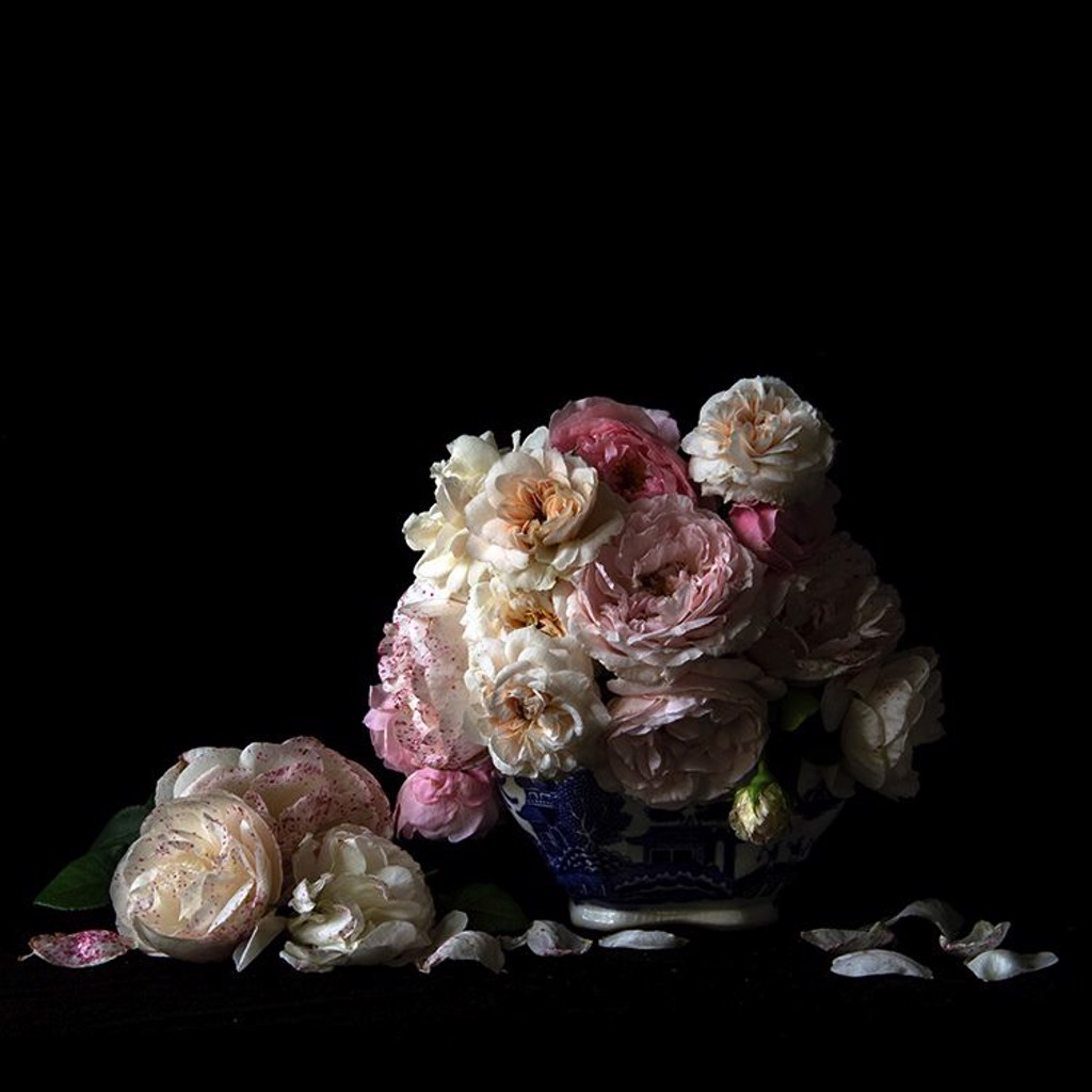 Vanitas with Roses, 9997 by Molly Wood | Olson-Larsen Galleries