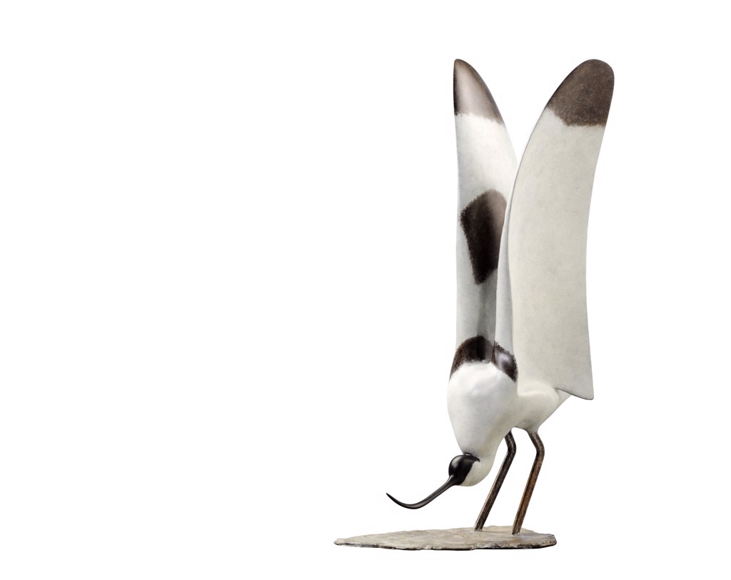 Happy Kluut * Avocette élégante * Pied Avocet by Mark Dedrie