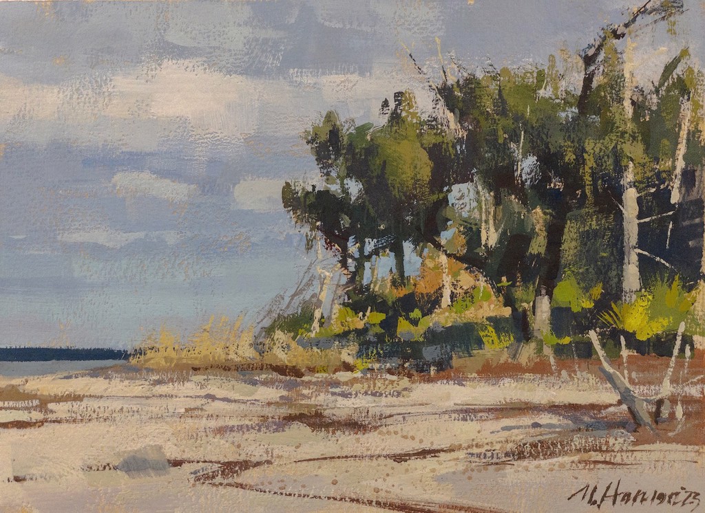 January Coastal by Marc Hanson, OPAM