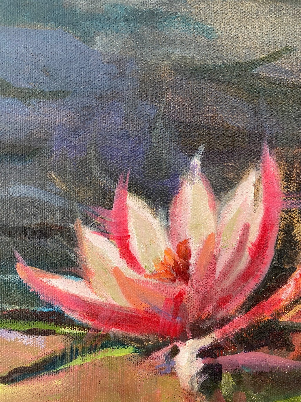 Lily, Lily by Laurie Meyer