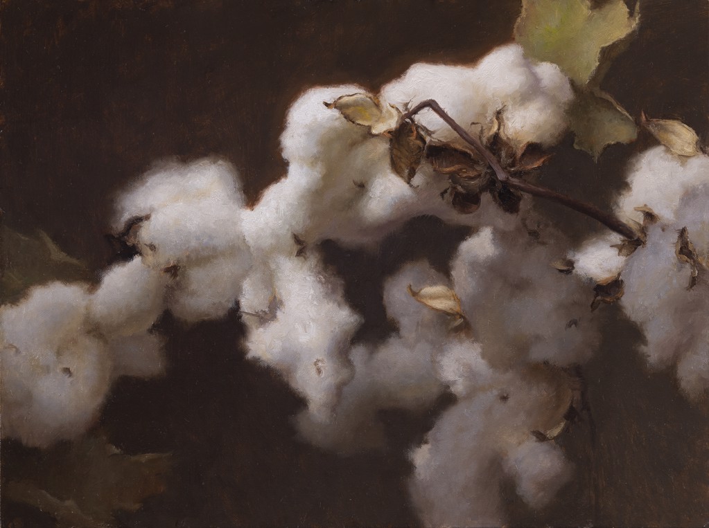 Cotton Wave by GRACE DeVITO