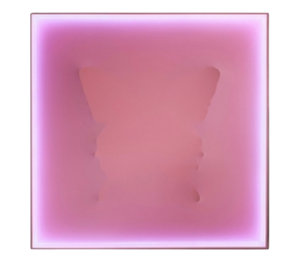 Punk Me Tender Pink Butterfly: butterfly silhouette beneath pink satin fabric with a glowing pink border around the square panel.