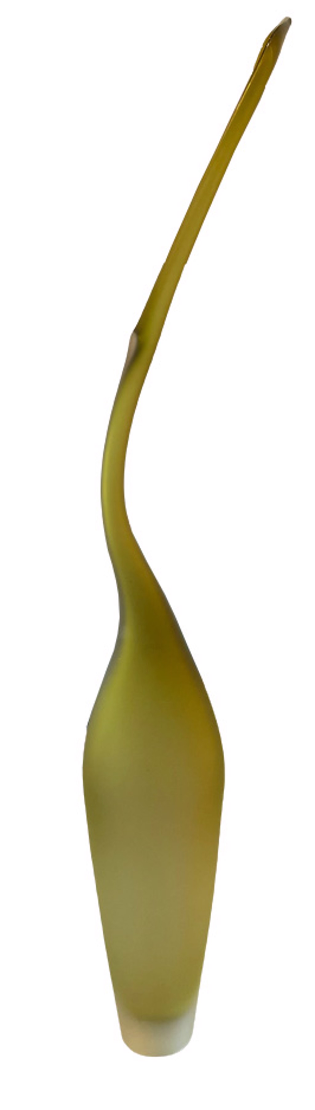 Olive Lima by Jeff Goodman