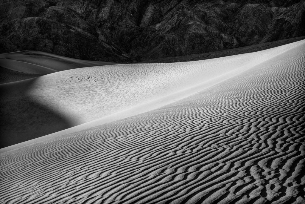 Gentle Curves by Gary Wagner