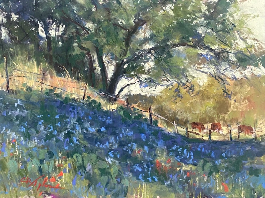 Blue Bonnet Hillside by Clive R. Tyler | InSight Gallery