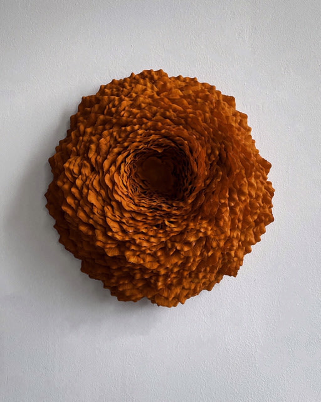 Lichen 5 by Molly Gambardella
