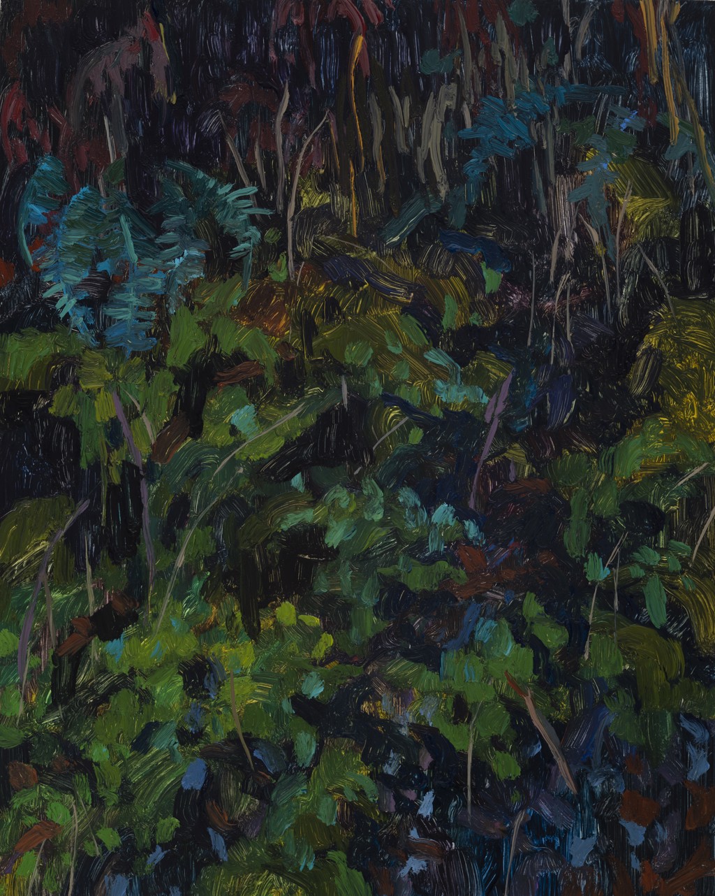 Ferns by Claire Sherman Ferns by Claire Sherman