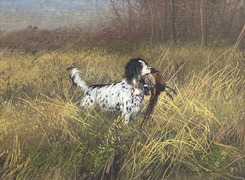 English Setter by Michael Coleman
