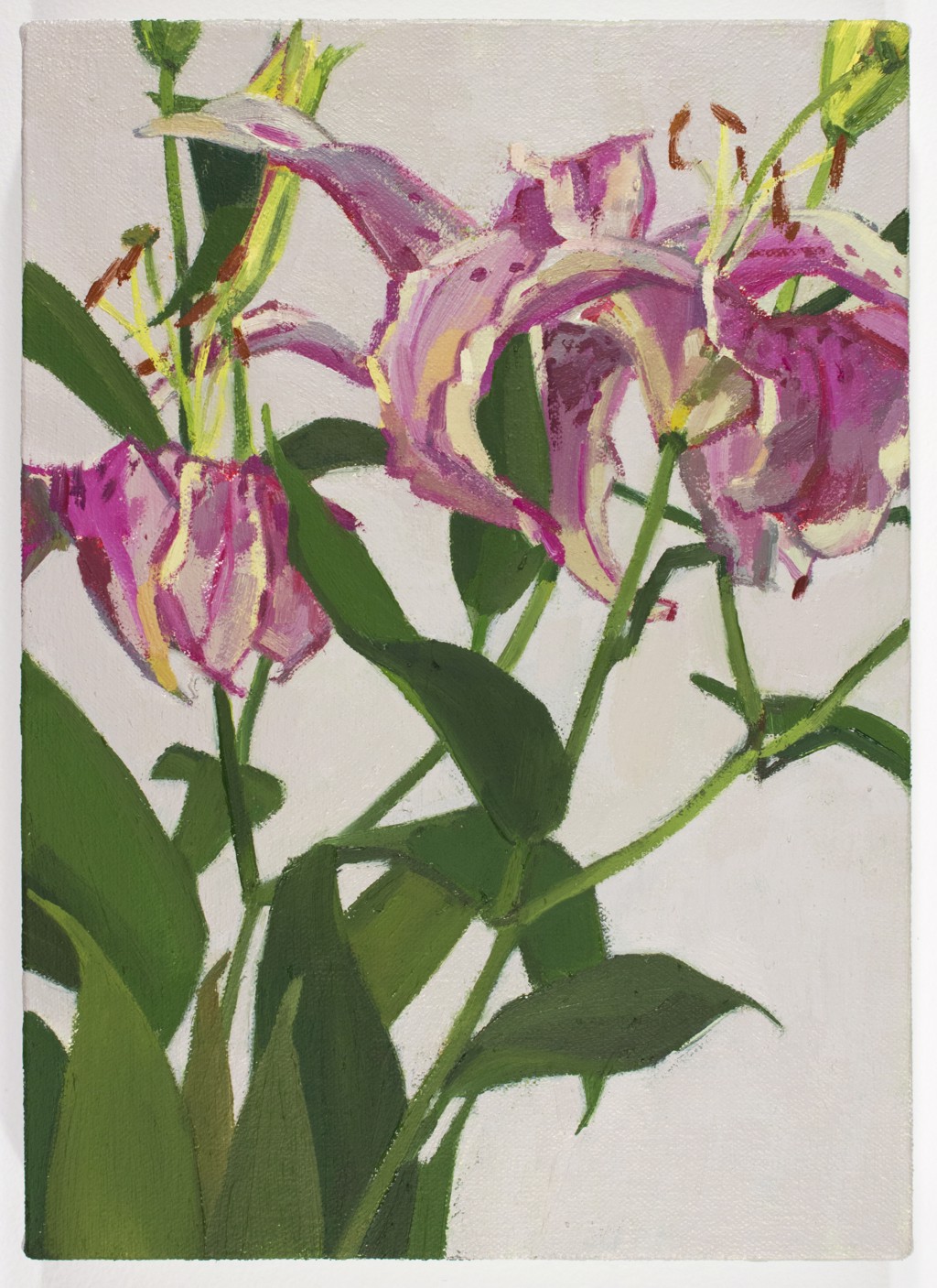 Blushing Lilies by Christina Renfer Vogel