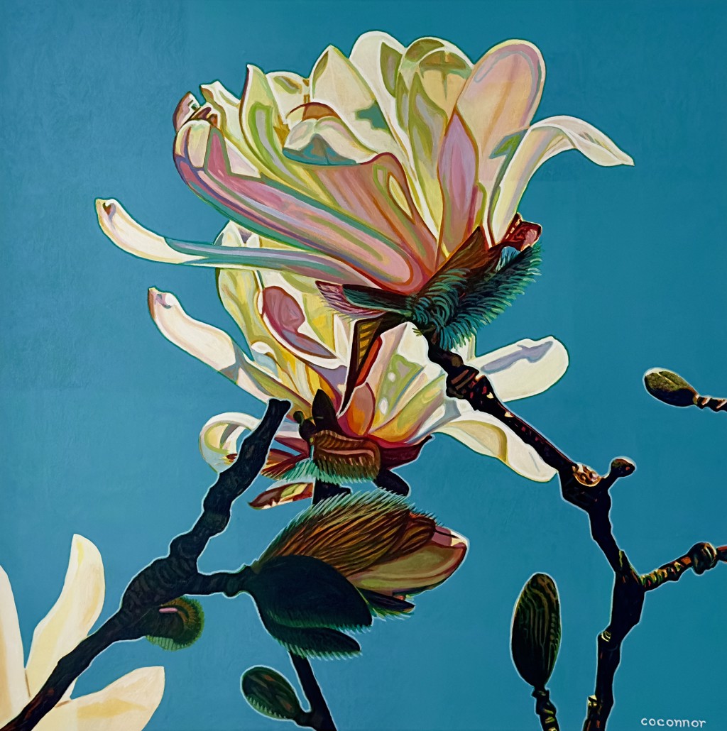 Magnolia Composition No. 19 by Christopher O'Connor | Portland Art