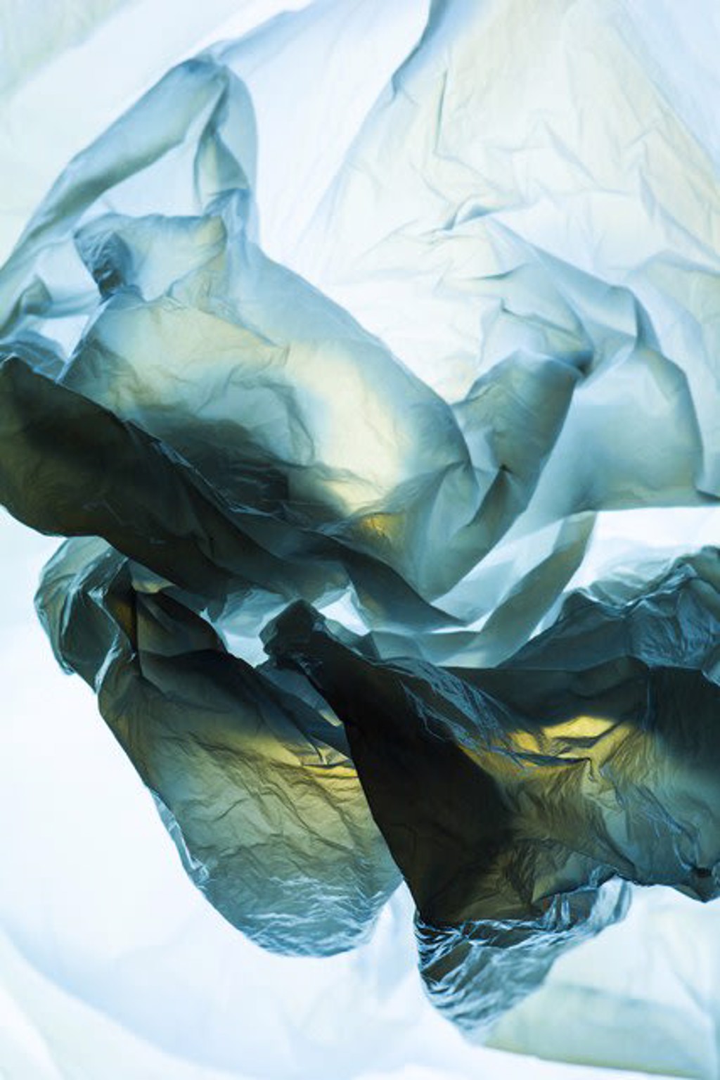 Blue Interior by Naomi White