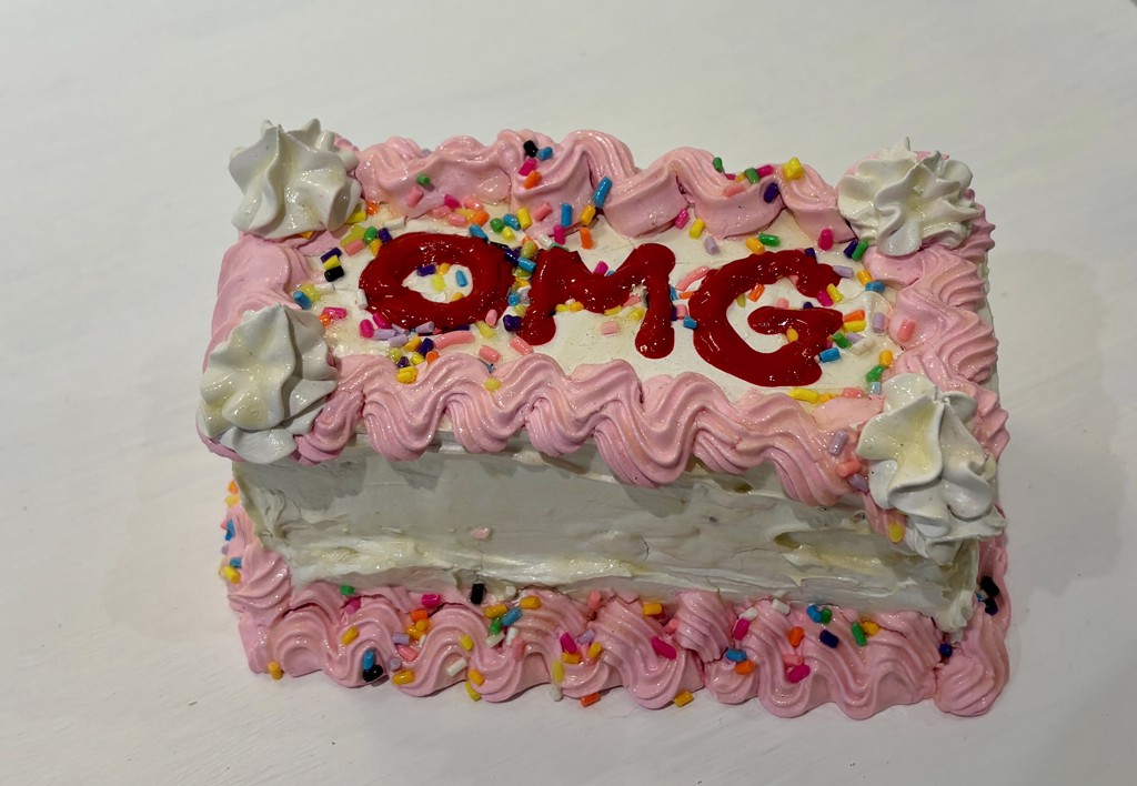 OMG Cake by Sullivan Anlyan