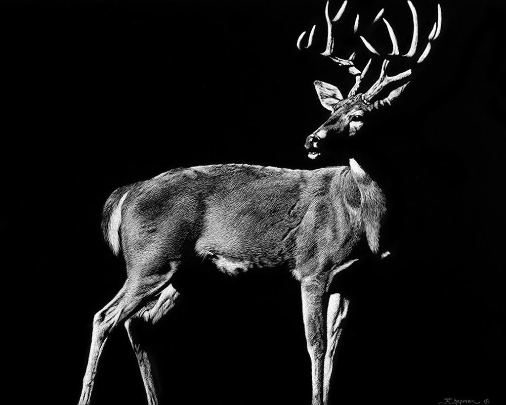 THE PRIZE by Julie Chapman