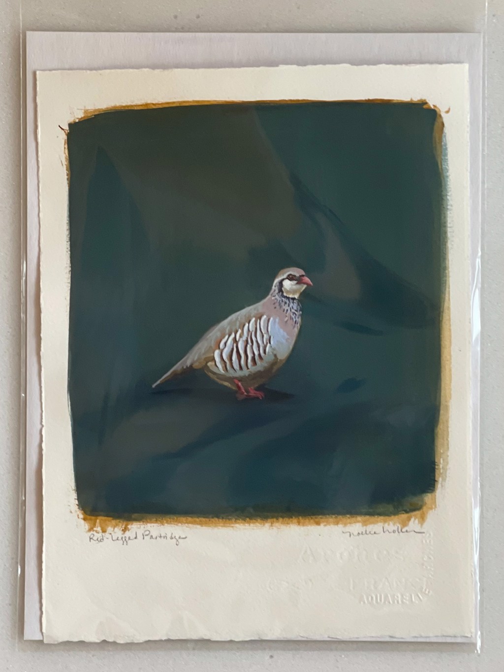 Red-Legged Partridge by Noelle Holler