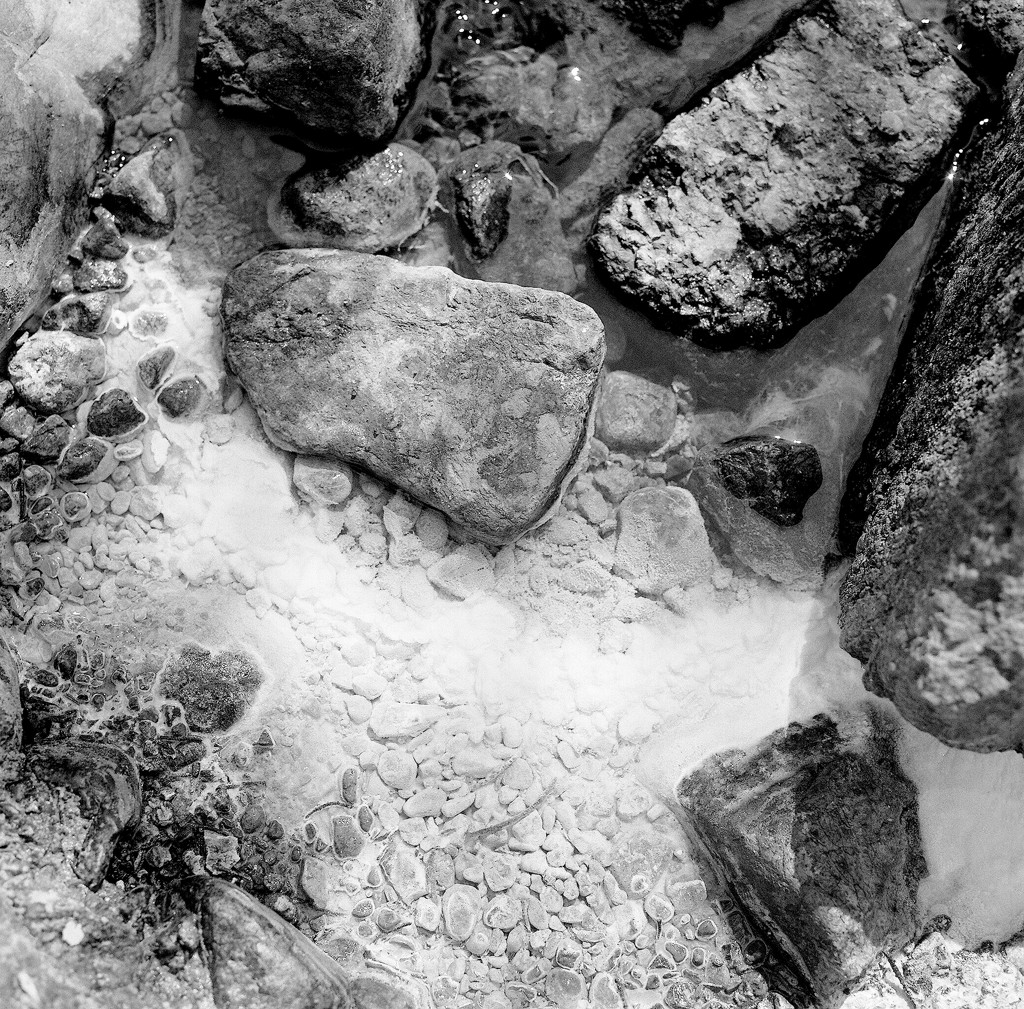 Grotto Spring Calcium Outlines, Grotto Spring Complex, Austin Creek Headwaters, The ...