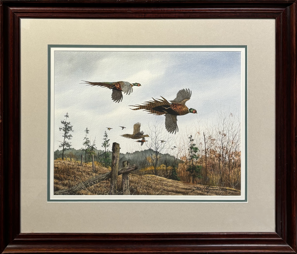 Driven Pheasants by David Hagerbaumer