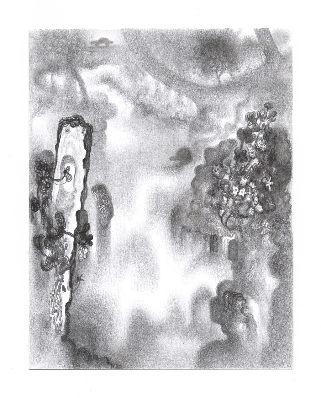 Chie Fueki & Joshua Marsh | Pamela Salisbury Gallery