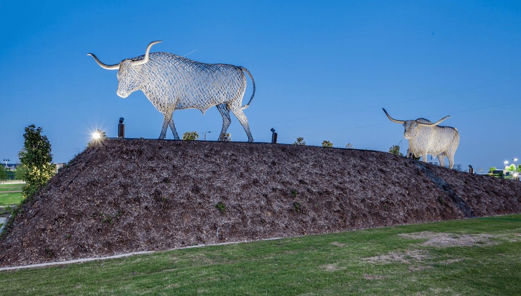 Texas Longhorns by Peter Busby