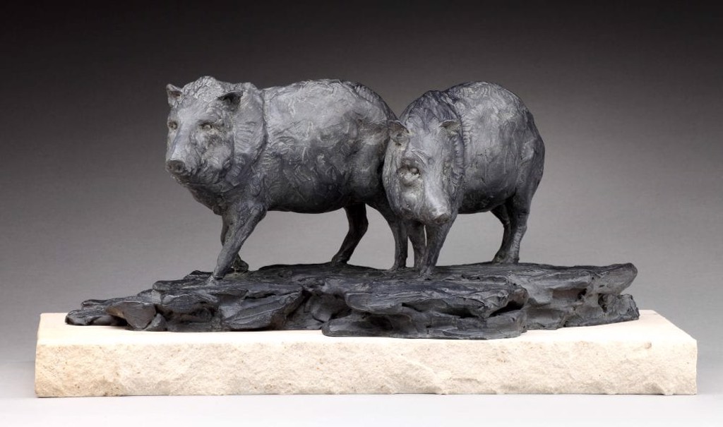 Javelina Stories II by Daniel Glanz
